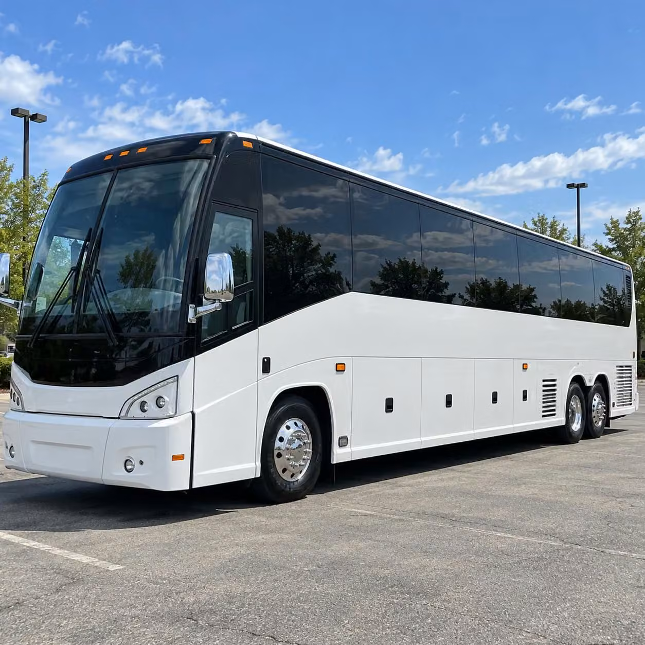 it s easy to customize your greenville prom transportation package